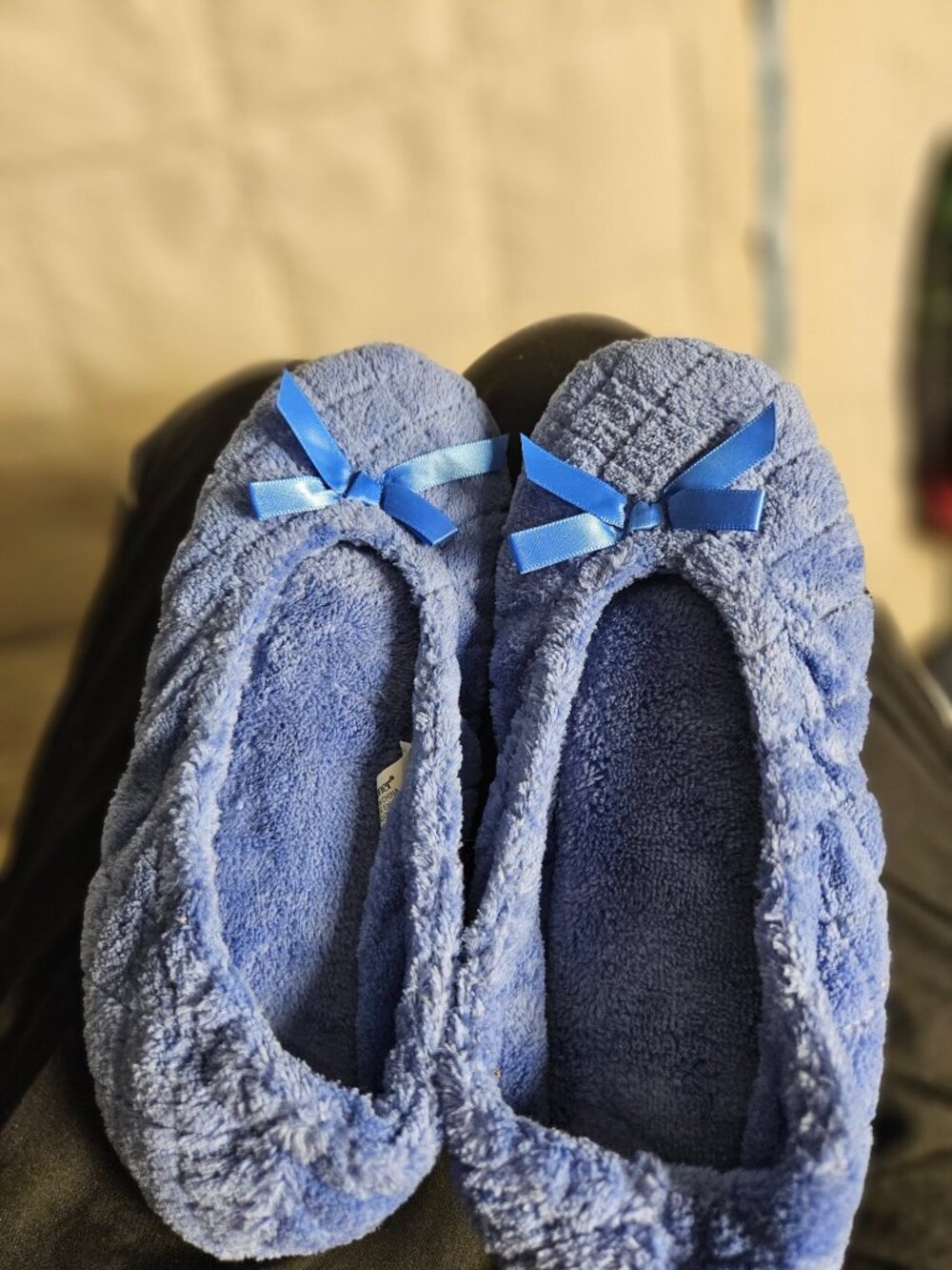 Isotoner Periwinkle Slippers Women's 6
